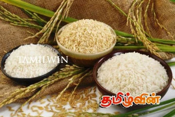 பல மில்லியன் ரூபாய் பெறுமதியான அரிசி ஏற்றுமதியை செய்துள்ள இலங்கை