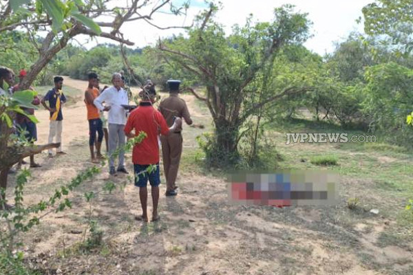 தமிழர் பகுதியில் பெரும் சோக சம்பவம்: பரிதாபமாக உயிரிழந்த நபர் | Person Killed In Trincomalee Attacked By Elephant