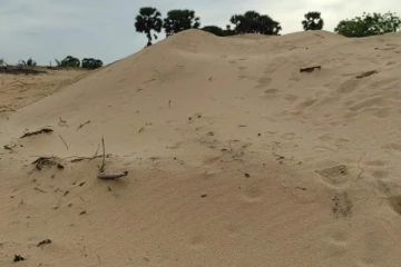 உப்புமாவெளி மணல் அகழ்வு விவகாரம்! யாழ்.ஆயர் இல்லம் அறிக்கை