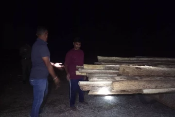 வெற்றிலைக்கேணியில் பனைமரம் கடத்திய மூவர் கைது