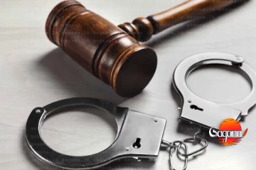 කැස්බෑ මස් සහ බිත්තර තොගයක් සමඟ සැකකරුවන් තිදෙනෙක් අත්අඩංගුවට