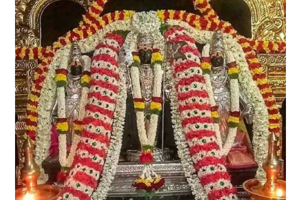 ஆடிக்கிருந்திகை இன்று;  முருகப்பெருமானின்  மகத்துவம் வாய்ந்த நாள் | The Glorious Day Of Lord Murugan