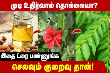 இந்த பொருட்களை உபயோகித்து தலை குளிங்க ! முடி உதிர்வுக்கு chance இல்ல!