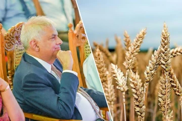 அரிசியால் தன்னிறைவு அடைந்துள்ள நாடு: ரணில் பெருமிதம்