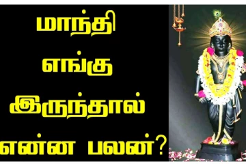 உங்கள் ஜாதகத்தில் இந்த இடத்தில் மாந்தி இருந்தால் கவனமாக இருக்க வேண்டுமாம்