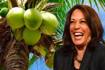 இணையத்தைக் கலக்கும் கமலா ஹாரிஸின் தென்னை மர நகைச்சுவை