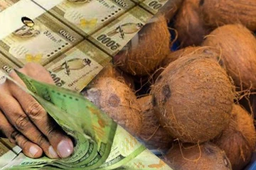 யாழில் 4000 ரூபாவிற்கு விற்பனை செய்யப்பட்ட தேங்காய்!