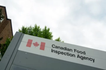 கனேடிய மாகாணம் ஒன்றில் பரவும் நோய்... கொல்லப்படும் 12,000 பறவைகள்