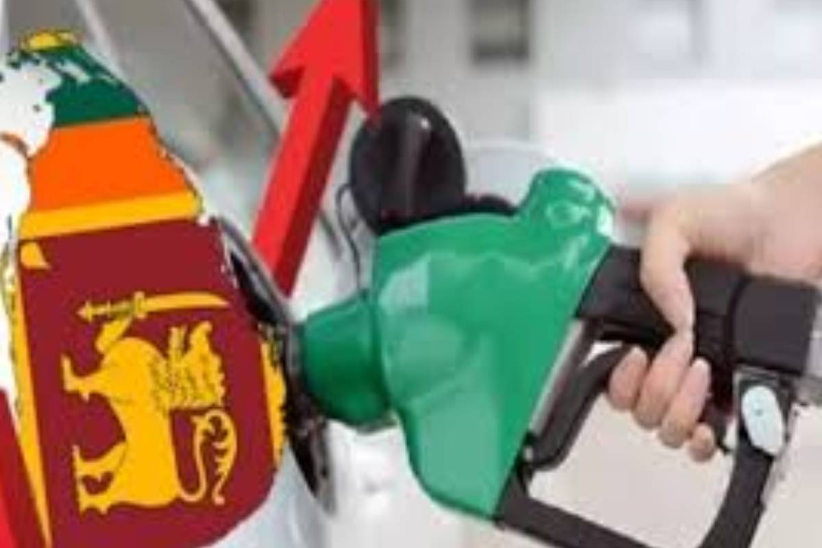 எரிபொருள் விநியோகம்! தனியார் பேருந்து உரிமையாளர்களுக்கான முக்கிய அறிவிப்பு | Important Notice For Private Bus Owners Fuel எரிபொருள் விநியோகம்! தனியார் பேருந்து உரிமையாளர்களுக்கான முக்கிய அறிவிப்பு | Important Notice For Private Bus Owners Fuel