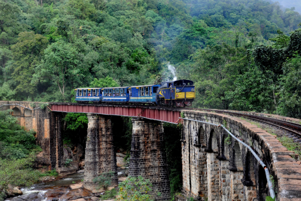 மிதிவண்டியை விட மெதுவாக செல்லும் ரயில் - தமிழ்நாட்டில் எங்கே உள்ளது தெரியுமா? | India Slowest Train Nilgiris Express In Tamil Nadu