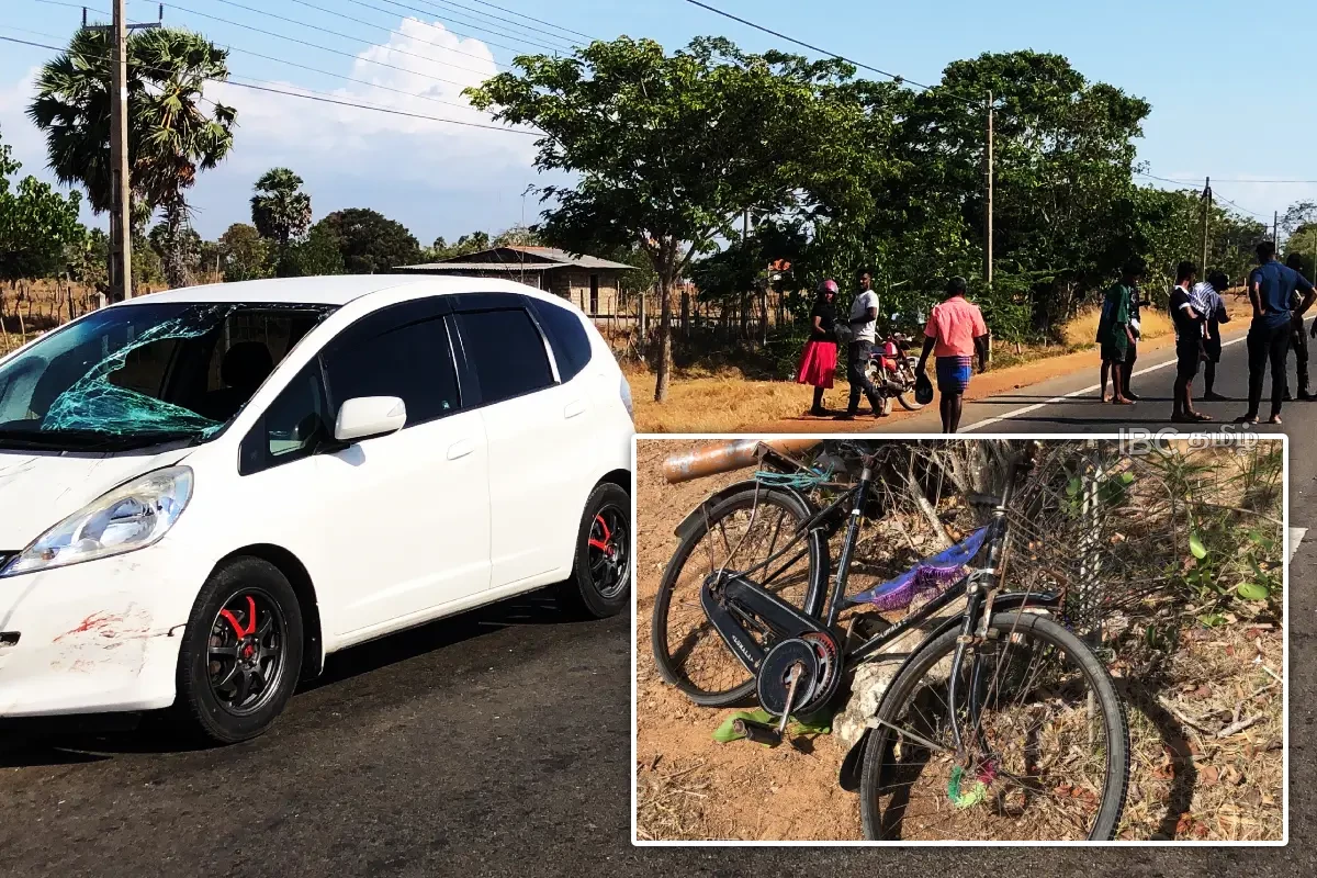 சைக்கிளில் சென்றவரை மோதித்தள்ளிய யாழிலிருந்து சென்ற கார் | Accident On A9 Road One Injured