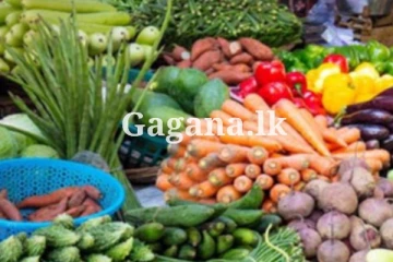 ගණන් උස්සපු එළවළු මිලට හිටිහැටියේම මොකද වුණේ දන්නව ද?. (PHOTO)