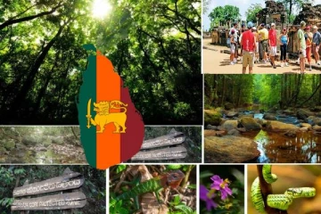 சிங்கராஜ வனப்பகுதிக்கு படையெடுக்கும் சுற்றுலா பயணிகள்