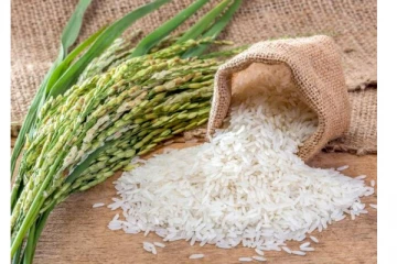 29 இலட்சம் குடும்பங்களுக்கு இலவச அரிசி வழங்கும் திட்டம் ஆரம்பம்