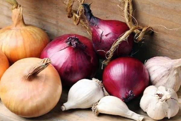 வெங்காயம், பூண்டு சாப்பிட தடையா! என்ன காரணம்னு தெரியுமா? | Which City Ban On Eating Onions Garlic Why வெங்காயம், பூண்டு சாப்பிட தடையா! என்ன காரணம்னு தெரியுமா? | Which City Ban On Eating Onions Garlic Why