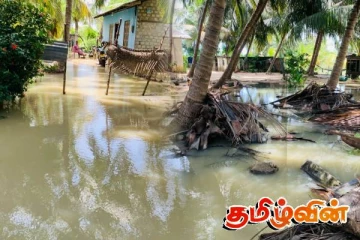 பலத்த மழையால் தம்பலகாமம் பகுதியில் உள்ள வீடுகளுக்கு பலத்த சேதம்