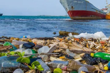 பிளாஸ்டிக் மாசுபாட்டால் இடம்பெயரும் உயிரினங்கள்