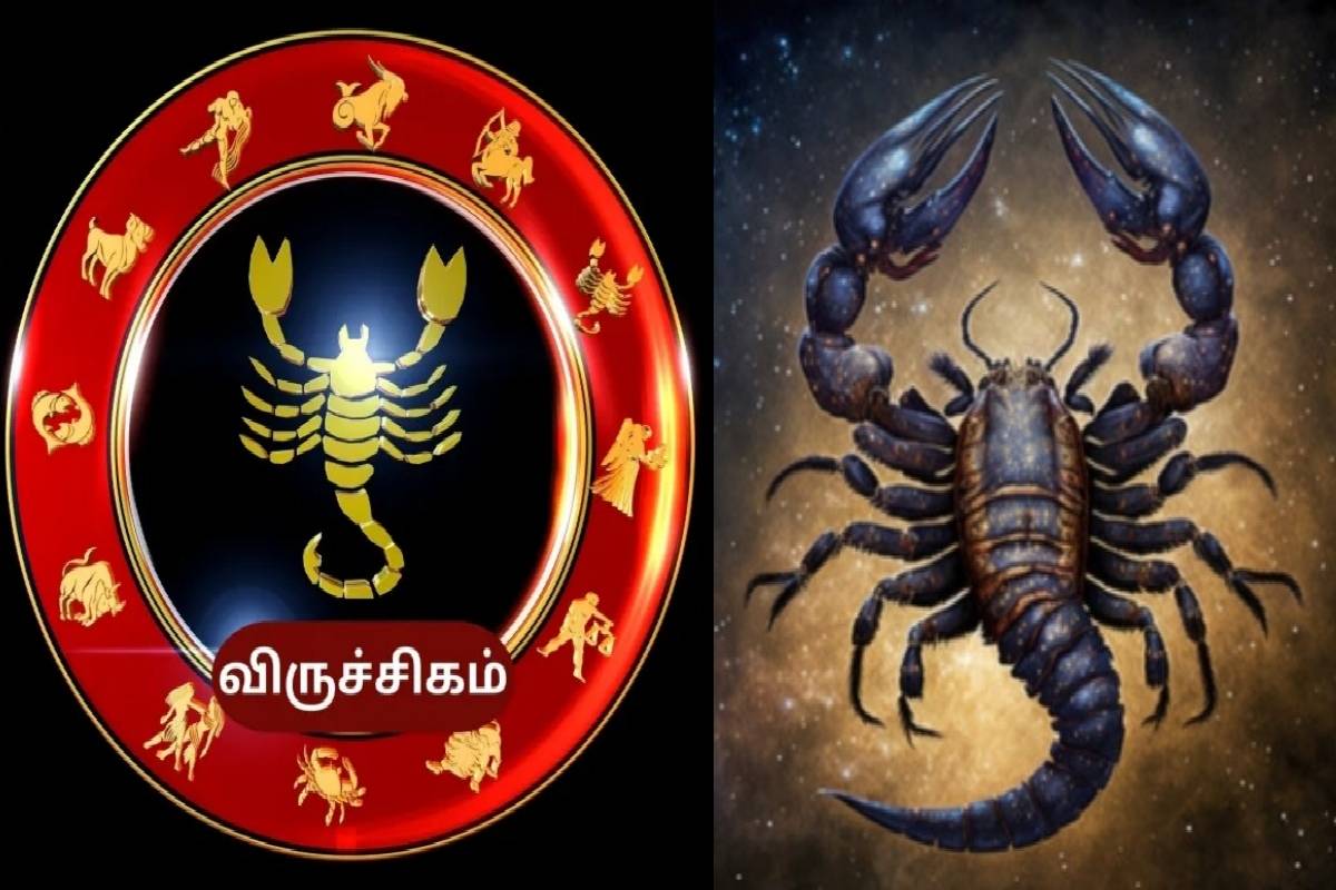 சொந்த ராசியில் சுக்கிரன் பெயர்ச்சி : இந்த 3 ராசிகளின் வாழ்க்கையில் அதிர்ஷ்ட கதவு திறந்தாச்சி! | Venus Transit In Taurus These Zodiacs Get Luck