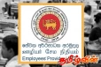 இலங்கையில் EPF ஊழியர்களின் பணம் தொடர்பில் வெளியாகியுள்ள தகவல் - நிறுவனங்களுக்கு எச்சரிக்கை