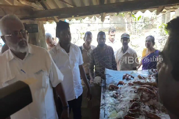 கட்டுப்படுத்தப்பட்ட இந்திய அத்துமீறல் - முல்லைத்தீவில் பிடிபட்ட பெருமளவு இறால்கள்! | India Fisher Man Mullaitivu Fishing Douglas Shrimp