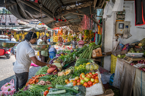 சந்தையில் மரக்கறிகளின் விலைகளில் திடீர் வீழ்ச்சி! | Vegetable Prices Drop சந்தையில் மரக்கறிகளின் விலைகளில் திடீர் வீழ்ச்சி! | Vegetable Prices Drop