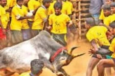 தமிழகத்தில் மேலும் 4 மாவட்டங்களில் ஜல்லிக்கட்டுக்கு அனுமதி