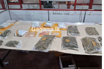 රට තුළට රැගෙන ඒමට සූදානම් කළ අමුතුම පාර්සල්..