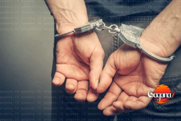 කූඨ බ්‍රසීල ගමන් බලපත්‍රයක් සමඟ ලංකාවට ඇතුළු වීමට තැත් කළ සෙනගාල් ජාතිකයෙකු අත්අඩංගුවට