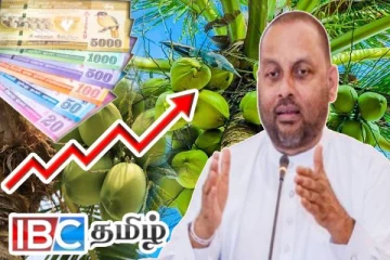 தேங்காய் விலை உயர்வுக்கான காரணத்தை வெளியிட்ட முன்னாள் அமைச்சர்
