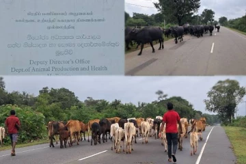 முல்லைத்தீவு மாவட்ட பண்ணையாளர்களுக்கு விடுக்கப்பட்டுள்ள அறிவித்தல்