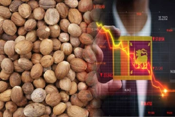 குறைவடைந்த சாதிக்காய் விலை: வெளிநாட்டு செலாவணியில் பாரிய வீழ்ச்சி