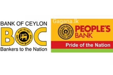 ප්‍රධාන රාජ්‍ය බැංකු දෙකකට සිදුවූ දේ..බිලියන 80ක්..දේශපාලන රැකවරණය ලබමින් සිදු කළ දේ..