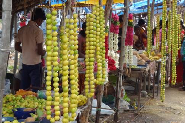 எலுமிச்சை பழத்தை வீட்டு வாசலில் வைப்பதால் திருஷ்டி நீங்குமா? | Lemons At Door Of The House Get Rid Of Bad Luck