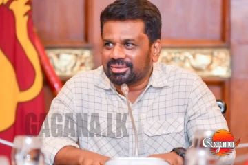 ජනපති එක්සත් ජාතීන්ගේ මහා මණ්ඩල සැසිවාරයට යන්න සැරසෙයි