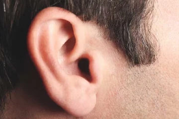 ஊழியரின் காதை கடித்த மாநகர சபை முன்னாள் உறுப்பினர்