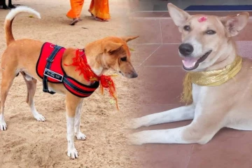 சுப்பிரமணியின் பாதுகாப்பு கருதி விசேட வாகனத்தில் அழைத்து செல்லத் திட்டம்
