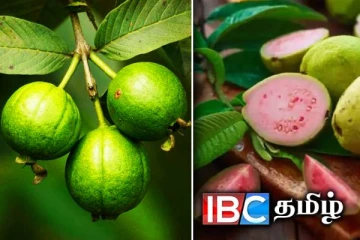 எளிதில் கிடைக்கும் கொய்யா பழத்தில் இவ்வளவு நன்மையா?