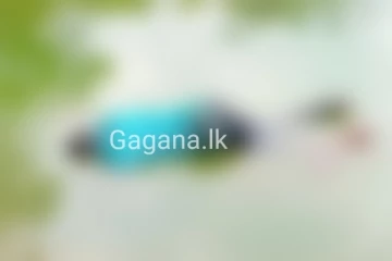 තරුණයින් දෙනෙකුගේ මළ සිරුරු කුඹුරක පාවෙමිත් තිබියදී හමු වෙයි..