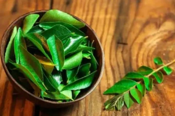 வெறும் வயிற்றில் கறிவேப்பிலை சாப்பிடுங்க... நம்பமுடியாத அதிசயத்தை காண்பீங்க