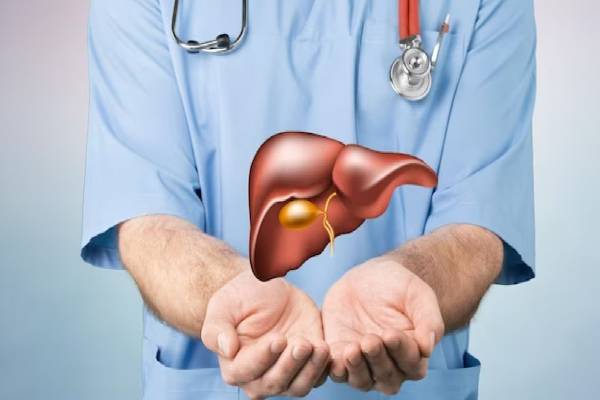 உடலில் அதிக வேலை செய்யும் உறுப்பு இதுதான்! பாதிப்பு குறித்து எச்சரிக்கும் மருத்துவர்கள் | How Do Exercise And Diet Change Liver Disease
