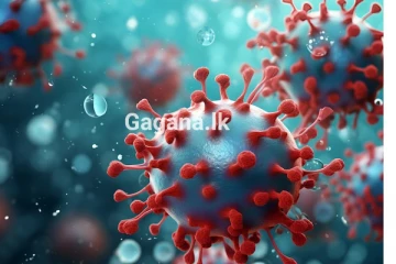 ආන්දෝලනයට තුඩු දුන් ප්‍රතිදේහ ඖෂධය සෑදීමට රුධිරය ගත් ස්ථානය ගැන බරපතළ අනාවරණයක්..!