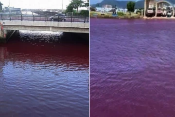 திடீரென சிவப்பு நிறமாக மாறிய நதி! வெளியான காரணம் (VIDEO)