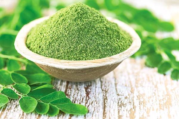 Miracle Tree: உடலில் அற்புதம் நிகழ்த்தும் முருங்கை- வெளிநாட்டவர்கள் வியக்கும் மருத்துவம் | Moringa Powder Leaf And Frui Benifits In Tamil