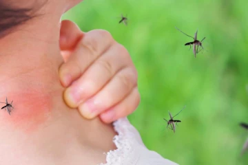 கொசு இந்த வகை பிளட் குருப்பை துரத்தி துரத்தி கடிக்குமாம்! கொசுக்கு இப்படி ஒரு டேஸ்ட் இருக்கா?