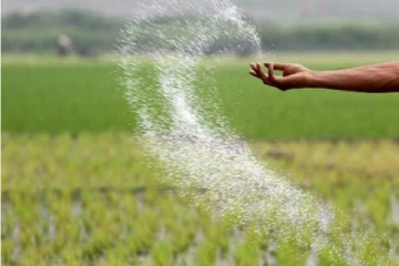 விவசாயிகளுக்கு மகிழ்ச்சியான தகவல் - இலங்கைக்கு விரையும் யூரியா ஏற்றிய கப்பல்