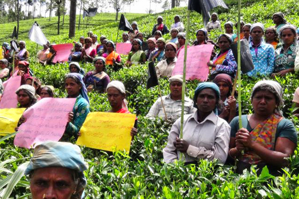 வடக்கு கிழக்கு மக்களுக்கு நன்றி தெரிவித்த அமைச்சர்: மலையக மக்களுக்கான சம்பளம் பெப்ரவரியில் உறுதி! | Houses For Malayagam Displaced In February வடக்கு கிழக்கு மக்களுக்கு நன்றி தெரிவித்த அமைச்சர்: மலையக மக்களுக்கான சம்பளம் பெப்ரவரியில் உறுதி! | Houses For Malayagam Displaced In February