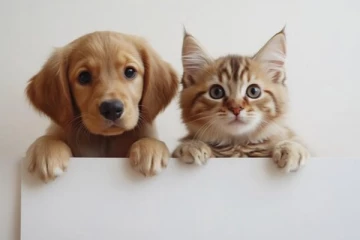 இனி வீடுகளில் நாய், பூனை வளர்க்க கட்டணம் - எவ்வளவு தெரியுமா?