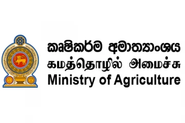 මෙරට තරුණයින් පිරිසකට සුබම සුබ ආරංචියක්..දැන්ම වැඩේ පටන්ගන්න.