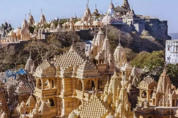 உலகில் அசைவ உணவை தடை செய்த முதல் நகரம் - இந்தியாவில் எங்கு உள்ளது தெரியுமா?