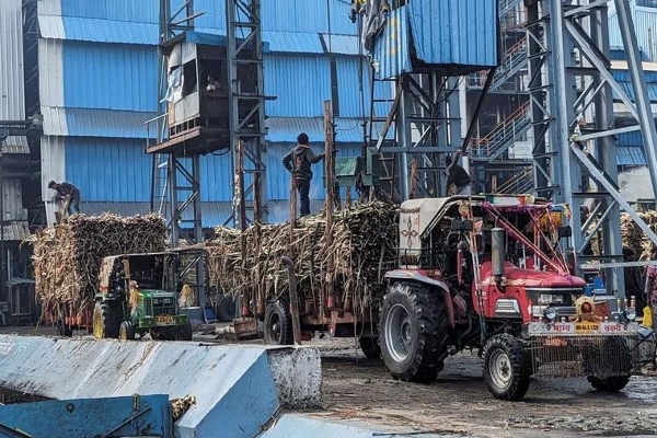 இறக்குமதிக்கு தயாராகும் உலகின் இரண்டாவது அதிக சர்க்கரை உற்பத்தி செய்யும் நாடு | World No2 Sugar Producer India May Need Imports